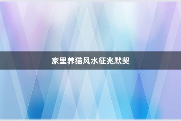 家里养猫风水征兆默契