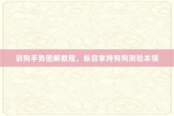 训狗手势图解教程，纵容掌持狗狗测验本领