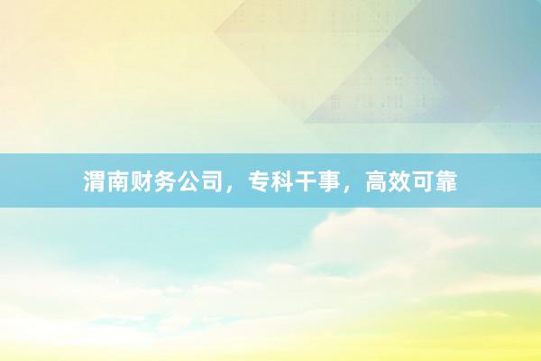 渭南财务公司，专科干事，高效可靠